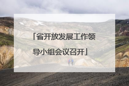 省开放发展工作领导小组会议召开