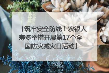 筑牢安全防线！农银人寿多举措开展第17个全国防灾减灾日活动
