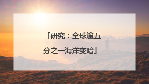 研究：全球逾五分之一海洋变暗