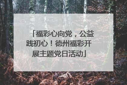 福彩心向党，公益践初心！德州福彩开展主题党日活动