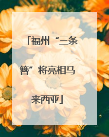 福州“三条簪”将亮相马来西亚