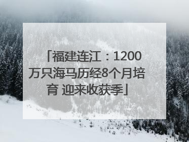 福建连江：1200万只海马历经8个月培育 迎来收获季