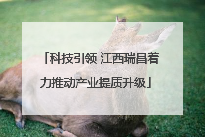 科技引领 江西瑞昌着力推动产业提质升级