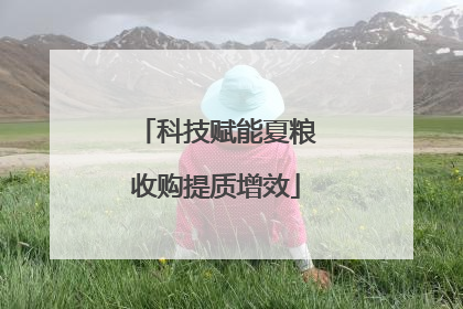 科技赋能夏粮收购提质增效