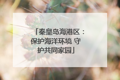 秦皇岛海港区：保护海洋环境 守护共同家园