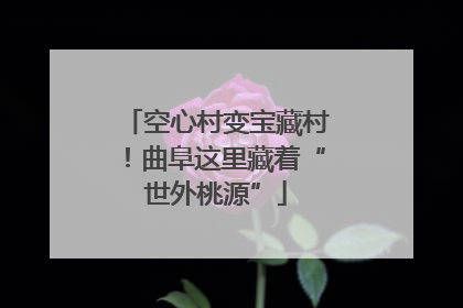 空心村变宝藏村！曲阜这里藏着“世外桃源”