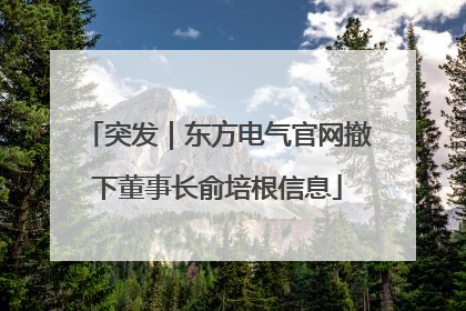 突发｜东方电气官网撤下董事长俞培根信息