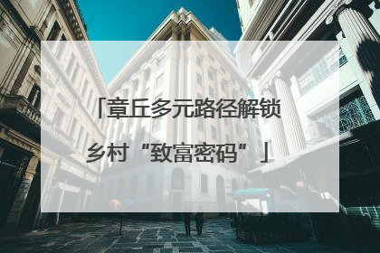 章丘多元路径解锁乡村“致富密码”