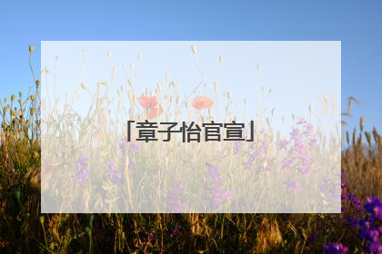 章子怡官宣