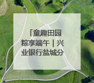 童趣田园 粽享端午｜兴业银行盐城分行举办六一亲子嘉年华活动