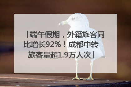 端午假期，外籍旅客同比增长92%！成都中转旅客量超1.9万人次