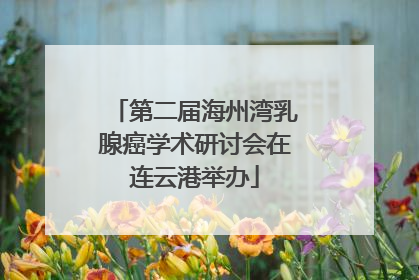 第二届海州湾乳腺癌学术研讨会在连云港举办