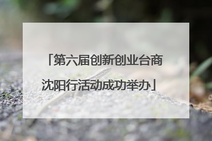 第六届创新创业台商沈阳行活动成功举办