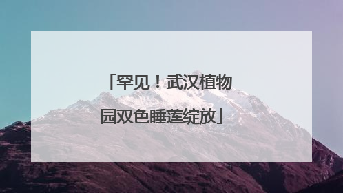 罕见！武汉植物园双色睡莲绽放