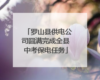 罗山县供电公司圆满完成全县中考保电任务