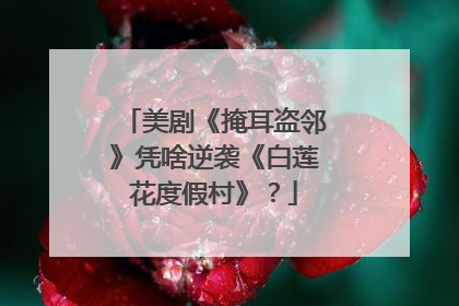 美剧《掩耳盗邻》凭啥逆袭《白莲花度假村》？