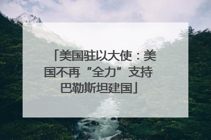 美国驻以大使：美国不再“全力”支持巴勒斯坦建国