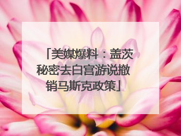 美媒爆料：盖茨秘密去白宫游说撤销马斯克政策