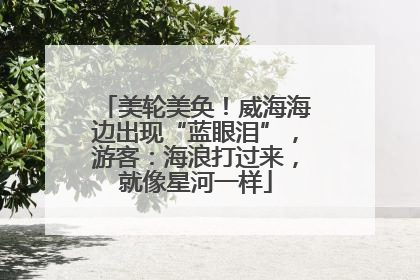 美轮美奂！威海海边出现“蓝眼泪”，游客：海浪打过来，就像星河一样