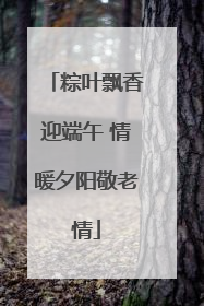 粽叶飘香迎端午 情暖夕阳敬老情