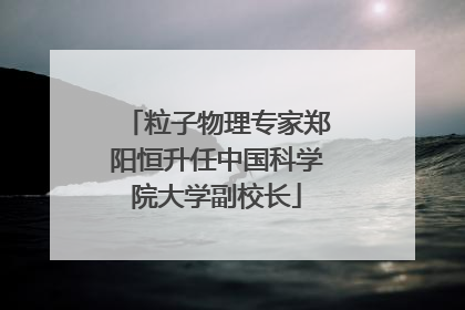 粒子物理专家郑阳恒升任中国科学院大学副校长