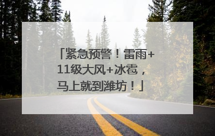 紧急预警！雷雨+11级大风+冰雹，马上就到潍坊！