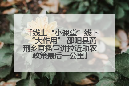 线上“小课堂”线下“大作用” 邵阳县黄荆乡直播宣讲拉近助农政策最后一公里