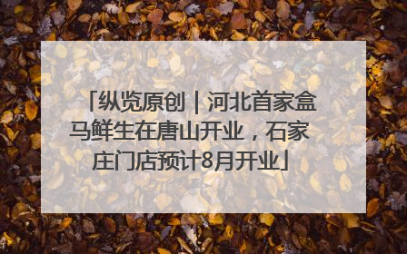 纵览原创｜河北首家盒马鲜生在唐山开业，石家庄门店预计8月开业