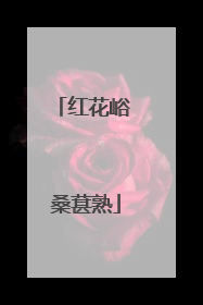 红花峪 桑葚熟