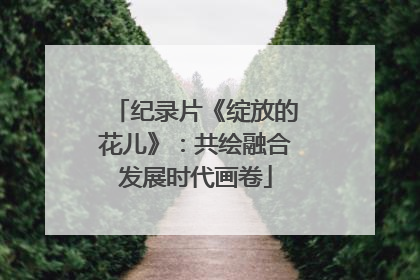 纪录片《绽放的花儿》：共绘融合发展时代画卷