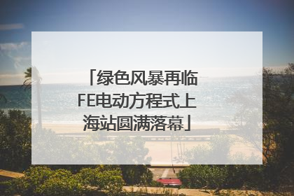 绿色风暴再临 FE电动方程式上海站圆满落幕