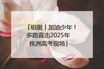 组图丨加油少年！多路直击2025年株洲高考现场