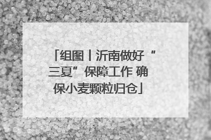 组图丨沂南做好“三夏”保障工作 确保小麦颗粒归仓