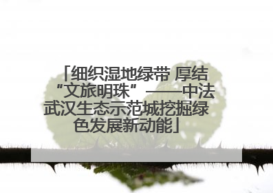 细织湿地绿带 厚结“文旅明珠”——中法武汉生态示范城挖掘绿色发展新动能