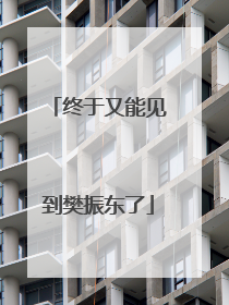终于又能见到樊振东了