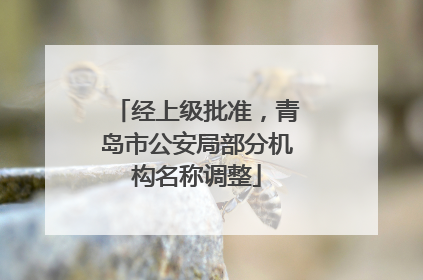 经上级批准，青岛市公安局部分机构名称调整