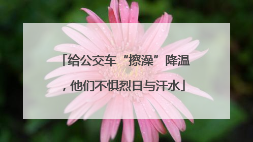给公交车“擦澡”降温，他们不惧烈日与汗水