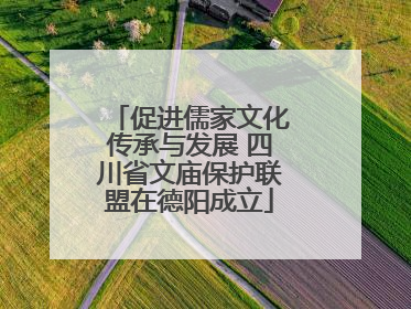 促进儒家文化传承与发展 四川省文庙保护联盟在德阳成立