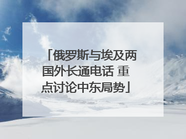 俄罗斯与埃及两国外长通电话 重点讨论中东局势