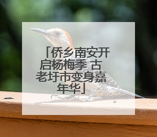 侨乡南安开启杨梅季 古老圩市变身嘉年华