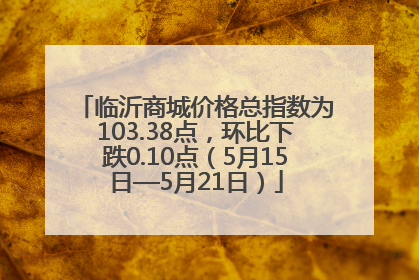 临沂商城价格总指数为103.38点，环比下跌0.10点（5月15日—5月21日）