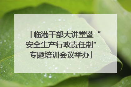 临港干部大讲堂暨“安全生产行政责任制”专题培训会议举办