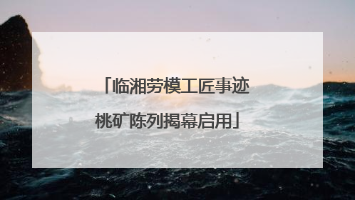 临湘劳模工匠事迹桃矿陈列揭幕启用