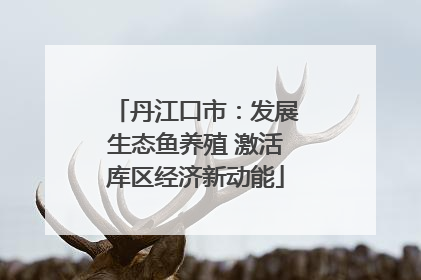 丹江口市：发展生态鱼养殖 激活库区经济新动能