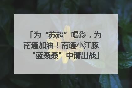 为“苏超”喝彩，为南通加油！南通小江豚“蓝叒叒”申请出战