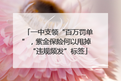 一中支领“百万罚单”，紫金保险何以甩掉“违规频发”标签