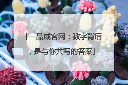 一品威客网：数字背后，是与你共写的答案
