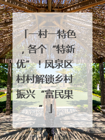 一村一特色，各个“特新优”！凤泉区村村解锁乡村振兴“富民果”