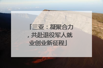 三亚：凝聚合力，共赴退役军人就业创业新征程