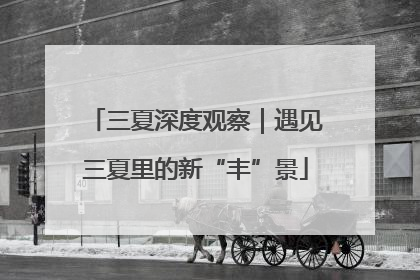 三夏深度观察｜遇见三夏里的新“丰”景